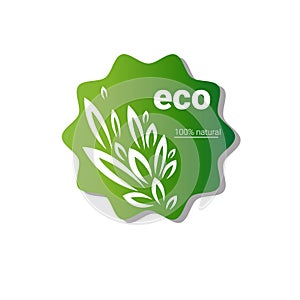 Eco Friendly Organic Natural Product Web Icon Logo