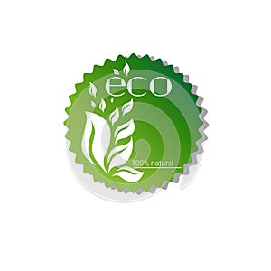 Eco Friendly Organic Natural Product Web Icon Logo