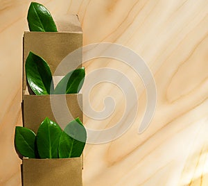 Eco friendly packaging, paper recycling, zero waste, natural products concept