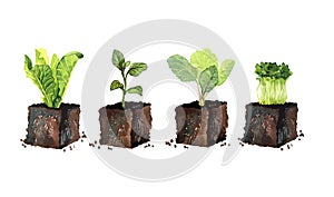 Eco-friendly set of plant seedlings photo