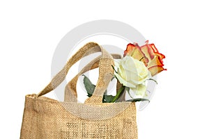 Eco-friendly shopping bag