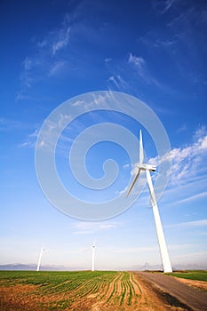 Eco friendly windpower photo