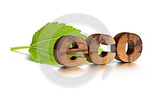 Eco friendly word and green leaf
