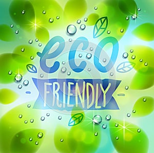 Eco friendly words drawn on a window, fresh green leaves and water rain drops or condensate macro, vector 3d realistic transparent