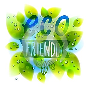 Eco friendly words drawn on a window, fresh green leaves and water rain drops or condensate macro, vector 3d realistic transparent