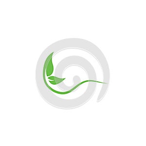 eco go green leaf logo vector icon illustration