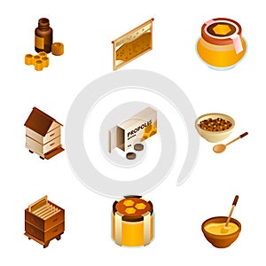 Eco golden honey icon set, isometric style