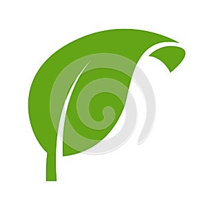 Eco green color leaf vector logo flat icon.