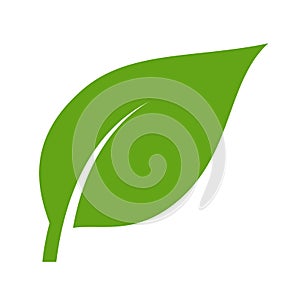 Eco green color leaf vector logo flat icon.