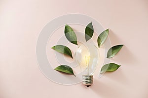Eco green energy concept bulb, lightbulb leaves on pink background