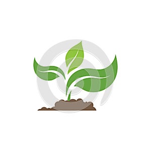 eco green energy icon design illustration