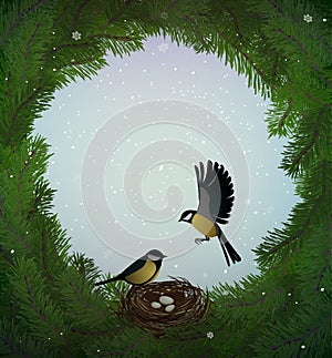 Eco green holiday idea, wreath of christmas tree branches with nest and two birds inside, sweet home, protect the forest