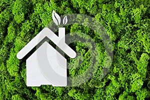 Eco green house concept