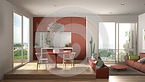 Eco green interior design, white and red living room with sofa, kitchen, dining table, succulent potted plants, parquet floor,