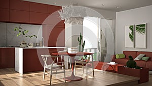 Eco green interior design, white and red living room with sofa, kitchen, dining table, succulent potted plants, parquet floor,