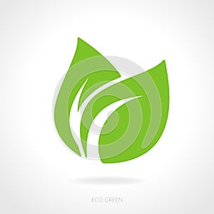 Eco green leaf concept
