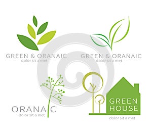 Eco green leaf . Ecology green icon.