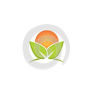 eco green leaf logo vector icon illustration