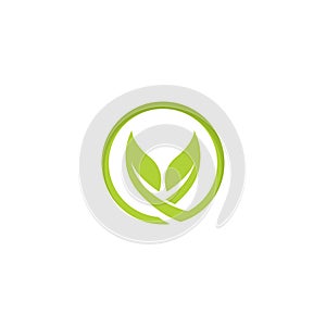 eco green leaf logo vector icon illustration