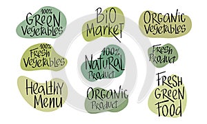 Eco green sign lettering for vegetarian, vegan shop, farmers market, natural organic food. Set of vector handwritten