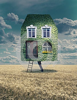 Eco home. Green house. Fantasy house at tree with surreal vintage background - art collage