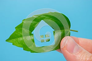 Eco house icon concept