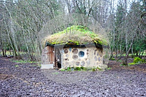 Eco house made with natural materials in Estonia with donkey