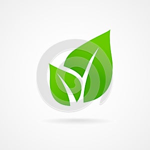 Eco icon green leaf vector