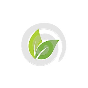 Eco icon green leaf vector illustration