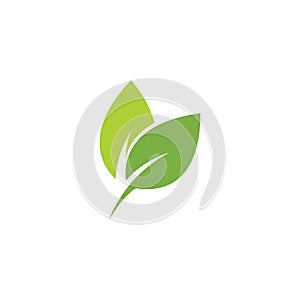 Eco icon green leaf vector illustration.