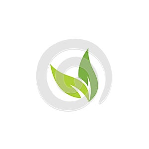 Eco icon green leaf vector illustration.