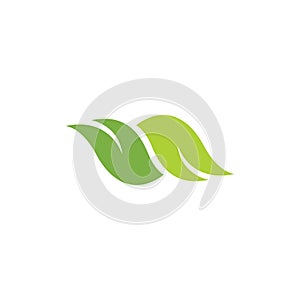 Eco icon green leaf vector illustration.