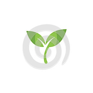 Eco icon green leaf vector illustration.