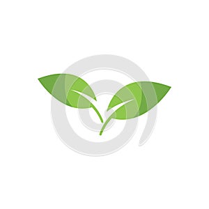 Eco icon green leaf vector illustration.