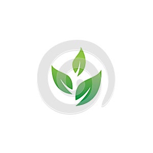 Eco icon green leaf vector illustration.