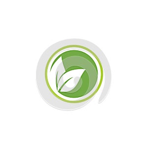 Eco icon green leaf vector illustration.