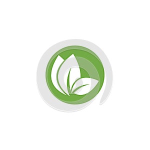 Eco icon green leaf vector illustration.