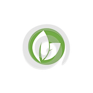 Eco icon green leaf vector illustration.