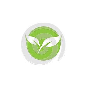 Eco icon green leaf vector illustration.