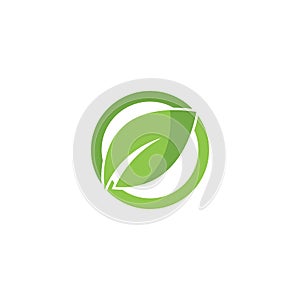 Eco icon green leaf vector illustration.