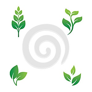 Eco icon green leaf vector illustration.