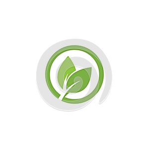 Eco icon green leaf vector illustration.