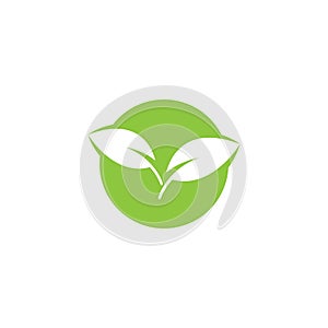 Eco icon green leaf vector illustration.