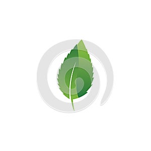 Eco icon green leaf vector illustration