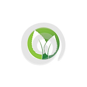 Eco icon green leaf vector illustration