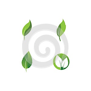 Eco icon green leaf vector illustration