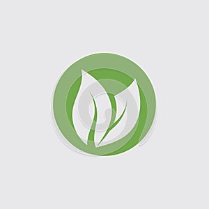 Eco icon green leaf vector illustration template