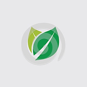 Eco icon green leaf vector illustration template