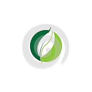 Eco icon green leaf vector illustration