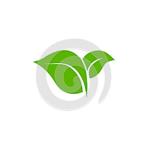 Eco icon green leaf vector illustration isolated. Green leaf sign